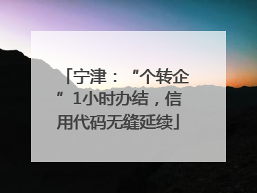 宁津：“个转企”1小时办结，信用代码无缝延续