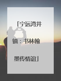 宁远湾井镇：书林翰墨传情谊