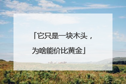 它只是一块木头，为啥能价比黄金