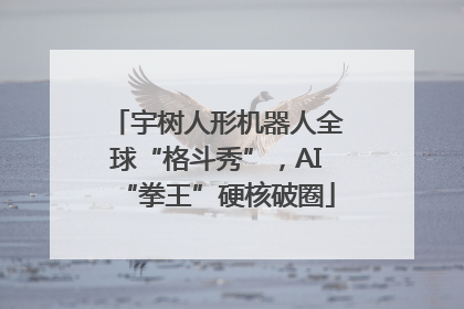 宇树人形机器人全球“格斗秀”，AI“拳王”硬核破圈