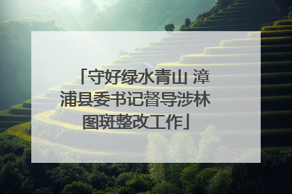 守好绿水青山 漳浦县委书记督导涉林图斑整改工作