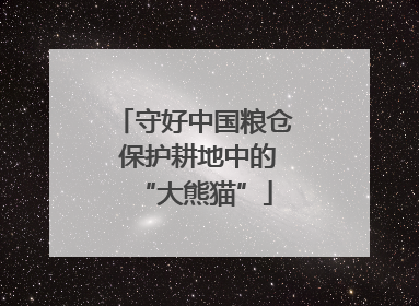 守好中国粮仓 保护耕地中的“大熊猫”