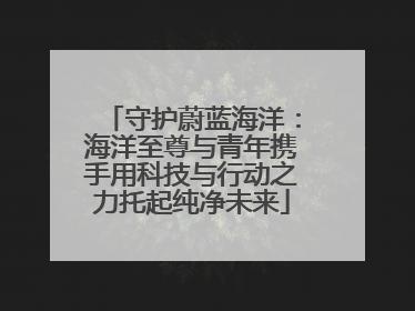 守护蔚蓝海洋：海洋至尊与青年携手用科技与行动之力托起纯净未来