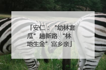安仁：“幼林套瓜”趟新路 “林地生金”富乡亲