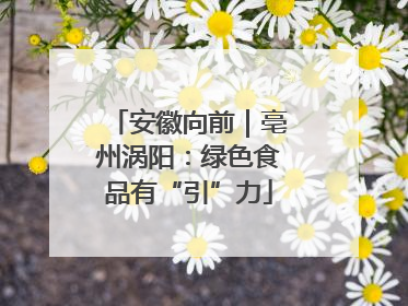 安徽向前｜亳州涡阳：绿色食品有“引”力