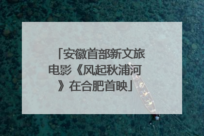 安徽首部新文旅电影《风起秋浦河》在合肥首映
