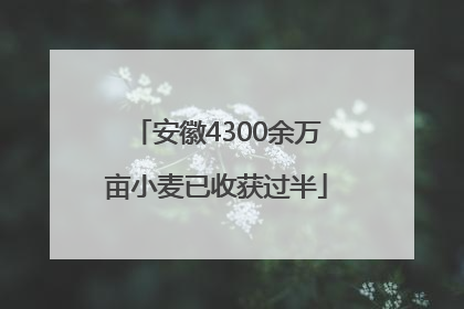 安徽4300余万亩小麦已收获过半