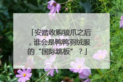 安踏收购狼爪之后，谁会是鸭鸭羽绒服的“国际跳板”？