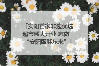 安阳首家非遗优选超市盛大开业 志做“安阳版胖东来”