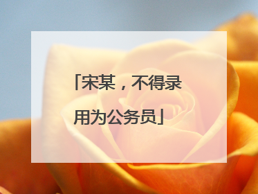 宋某，不得录用为公务员