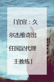 官宣：久尔杰维奇出任国足代理主教练