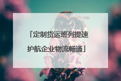 定制货运班列提速 护航企业物流畅通