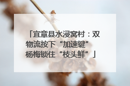 宜章县水浸窝村：双物流按下“加速键” 杨梅锁住“枝头鲜”