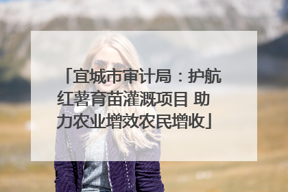宜城市审计局：护航红薯育苗灌溉项目 助力农业增效农民增收