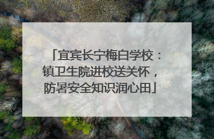 宜宾长宁梅白学校：镇卫生院进校送关怀，防暑安全知识润心田