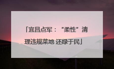 宜昌点军：“柔性”清理违规菜地 还绿于民