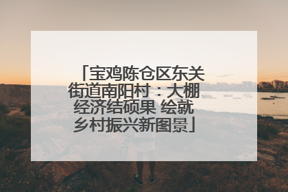 宝鸡陈仓区东关街道南阳村：大棚经济结硕果 绘就乡村振兴新图景
