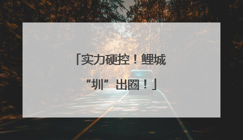 实力硬控！鲤城“圳”出圈！