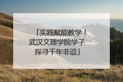 实践赋能教学！武汉文理学院学子探寻千年非遗