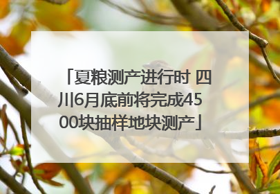 夏粮测产进行时 四川6月底前将完成4500块抽样地块测产