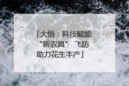 大悟：科技赋能“新农具” 飞防助力花生丰产