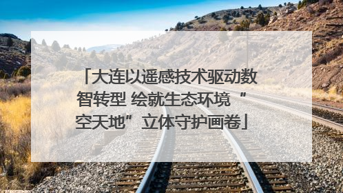 大连以遥感技术驱动数智转型 绘就生态环境“空天地”立体守护画卷