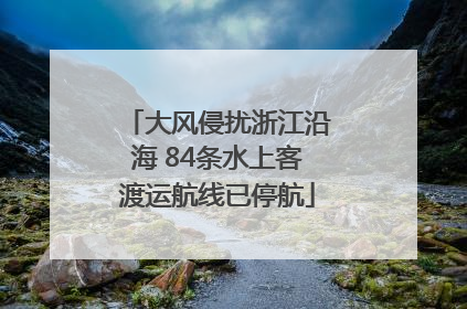 大风侵扰浙江沿海 84条水上客渡运航线已停航