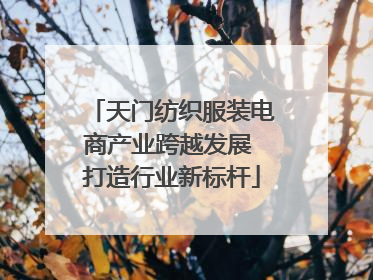 天门纺织服装电商产业跨越发展 打造行业新标杆