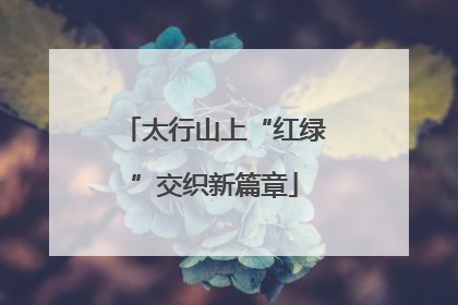 太行山上“红绿”交织新篇章