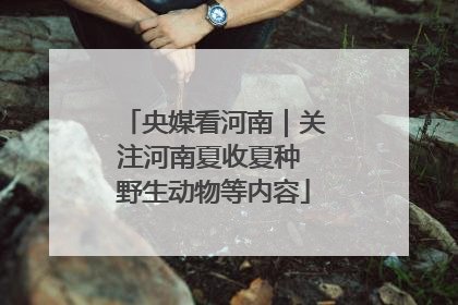 央媒看河南｜关注河南夏收夏种 野生动物等内容