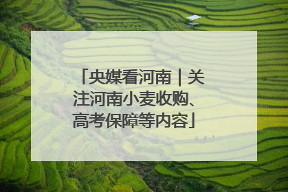 央媒看河南｜关注河南小麦收购、高考保障等内容