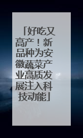 好吃又高产！新品种为安徽蔬菜产业高质发展注入科技动能