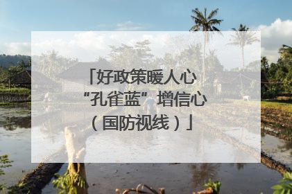 好政策暖人心 “孔雀蓝”增信心（国防视线）