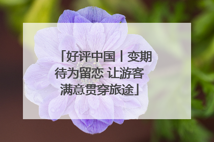 好评中国丨变期待为留恋 让游客满意贯穿旅途