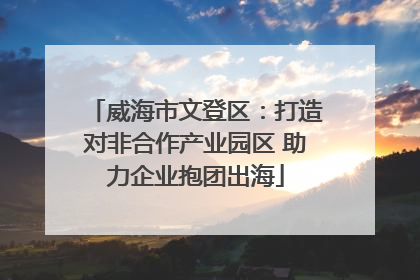 威海市文登区：打造对非合作产业园区 助力企业抱团出海