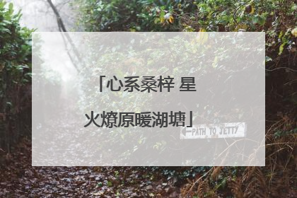 心系桑梓 星火燎原暖湖塘