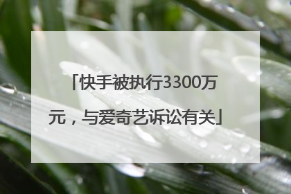 快手被执行3300万元，与爱奇艺诉讼有关