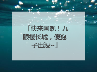 快来围观！九眼楼长城，傻狍子出没~
