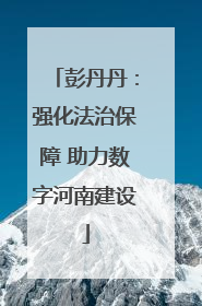 彭丹丹：强化法治保障 助力数字河南建设