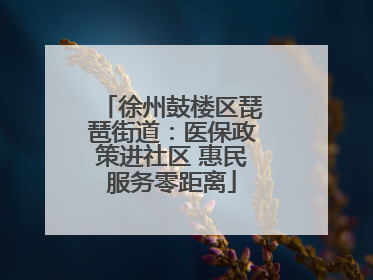 徐州鼓楼区琵琶街道：医保政策进社区 惠民服务零距离