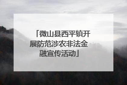 微山县西平镇开展防范涉农非法金融宣传活动