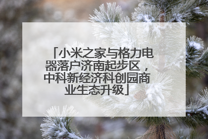 小米之家与格力电器落户济南起步区，中科新经济科创园商业生态升级