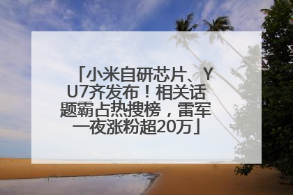 小米自研芯片、YU7齐发布！相关话题霸占热搜榜，雷军一夜涨粉超20万
