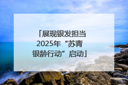 展现银发担当 2025年“苏青银龄行动”启动