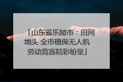 山东省乐陵市：田间地头 全市植保无人机劳动竞赛精彩纷呈