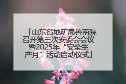 山东省地矿局鲁南院召开第三次安委会会议暨2025年“安全生产月”活动启动仪式