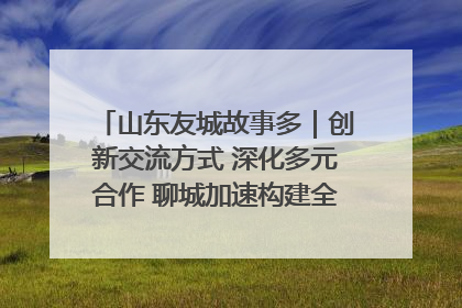 山东友城故事多｜创新交流方式 深化多元合作 聊城加速构建全球友城新格局