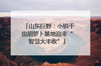 山东巨野：小镇千亩胡萝卜基地迎来“智慧大丰收”