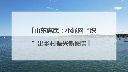 山东惠民：小绳网“织”出乡村振兴新图景