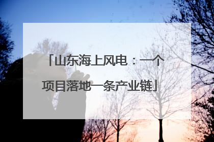 山东海上风电：一个项目落地一条产业链